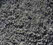 crushedrock